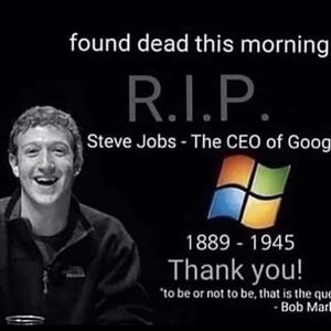 Meet your Posher, Estella